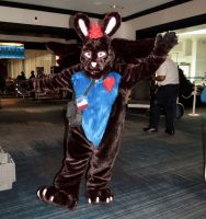 Hall Costume rabbit
